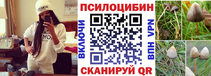 магазин  наркотиков  дарк нет какой сайт  Псилоцибиновые грибы Psilocybe  Кисловодск 